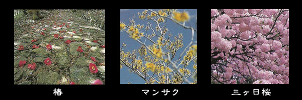 三ヶ日町和食・海鮮の宿松島館旬の話題